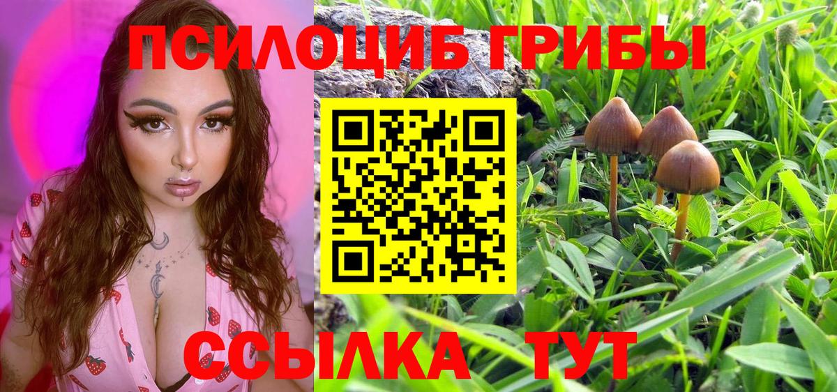 Мелеуз  Галлюциногенные грибы мицелий  Галлюциногенные грибы Magic Shrooms  Вход с VPN 